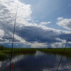 Фото рыбалки в Щука, Окунь 7