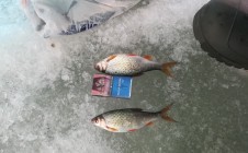 Фото рыбалки в Снежинск 1