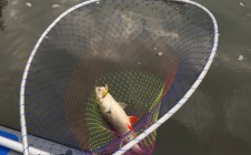 Фото рыбалки в Никольский, Нолинский район 0