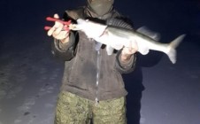 Фото рыбалки в Богучарский район 9