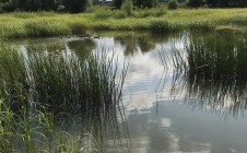 Фото рыбалки в городской округ Озёры 5