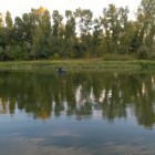 Фото рыбалки в Жерех, Лещ, Щука 7
