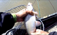 Фото рыбалки в Камень-на-Оби 4