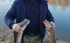 Фото рыбалки в Сабурово, Гагаринский район 0