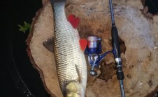 Фото рыбалки в Данков 7