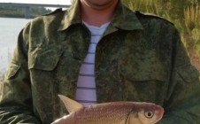 Фото рыбалки в Денисовка, Юринский район 0
