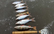 Фото рыбалки в городской округ Первоуральск 3