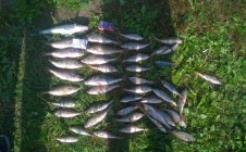 Фото рыбалки в Рязанская область 2