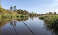 Фото рыбалки в Невьянский городской округ 7