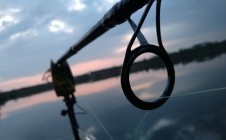 Фото рыбалки в Гайдуковка 1