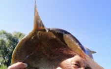 Фото рыбалки в Пагегское самоуправление 8