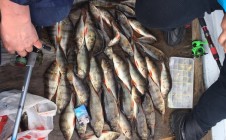 Фото рыбалки в Синдор 1