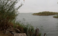Фото рыбалки в Старая Збурьевка 2