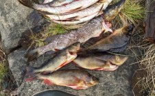 Фото рыбалки в Ниванкюль 7
