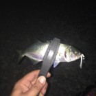 Фото рыбалки в Карась 0