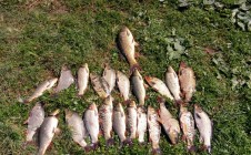 Фото рыбалки в Еткульский район 1