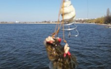 Фото рыбалки в Николаевская область 6