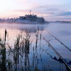 Фото рыбалки в Щука, Голавль, Жерех 1