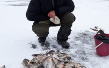 Фото рыбалки в Чернышковский район 0