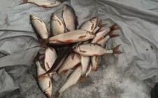 Фото рыбалки в Якты-Куль, Мелеузовский район 5