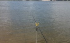 Фото рыбалки в Летний отдых 0