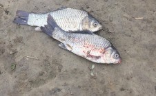 Фото рыбалки в Атырау 7