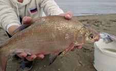 Фото рыбалки в Новоомский 0