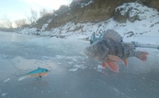 Фото рыбалки в Тобольск 6