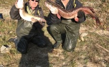 Фото рыбалки в Мотково 2