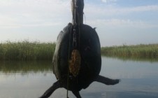 Фото рыбалки в Приморско-Ахтарский район 8