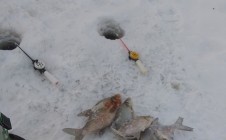 Фото рыбалки в Конаковский район 8