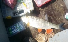 Фото рыбалки в Князево, Рамонский район 2