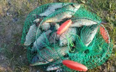 Фото рыбалки в Нижние Караси 0