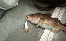 Фото рыбалки в Янтарный 0