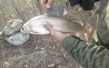Фото рыбалки в Кабанск 0
