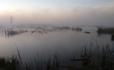 Фото рыбалки в Годылёво 1