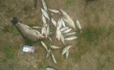 Фото рыбалки в Дзержинский район 2