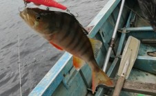 Фото рыбалки в Усть-Илимский район 3