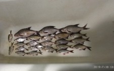 Фото рыбалки в Большая Ухолода 5