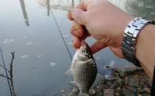 Фото рыбалки в Яблоновский 4