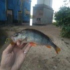 Фото рыбалки в Берш 3