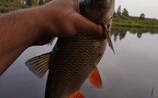 Фото рыбалки в Глухой Ток 4
