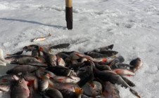 Фото рыбалки в Пензенская область 9