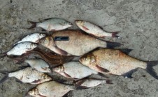 Фото рыбалки в Нижняя Байка 1