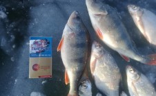 Фото рыбалки в СДТ Родник, Волжский район 7
