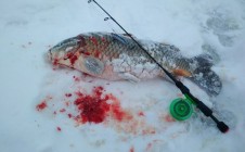 Фото рыбалки в Кимрский район 9