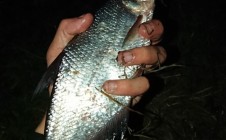 Фото рыбалки в Владимир 11