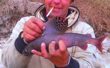 Фото рыбалки в Казачинский район 10