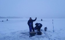 Фото рыбалки в дачи, Пушкинский городской округ 2