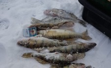 Фото рыбалки в Старотураево 0